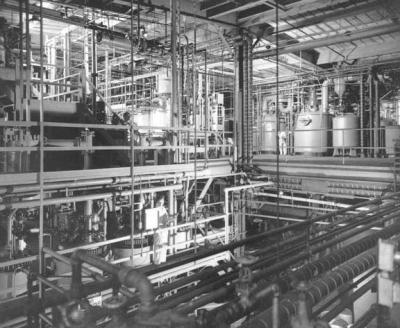 Pfizer's deep tank fermentation