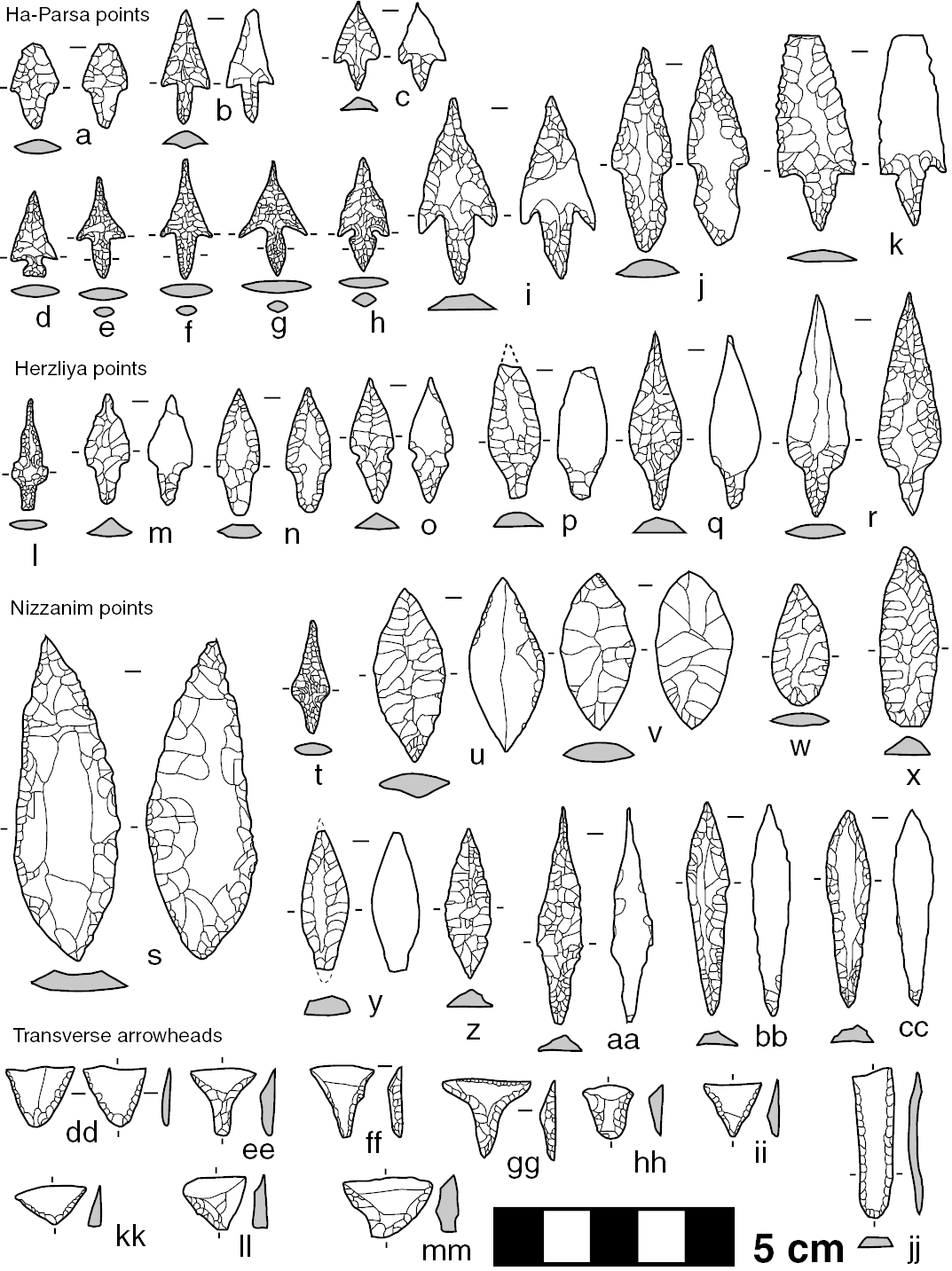 Neolithic arrowheads