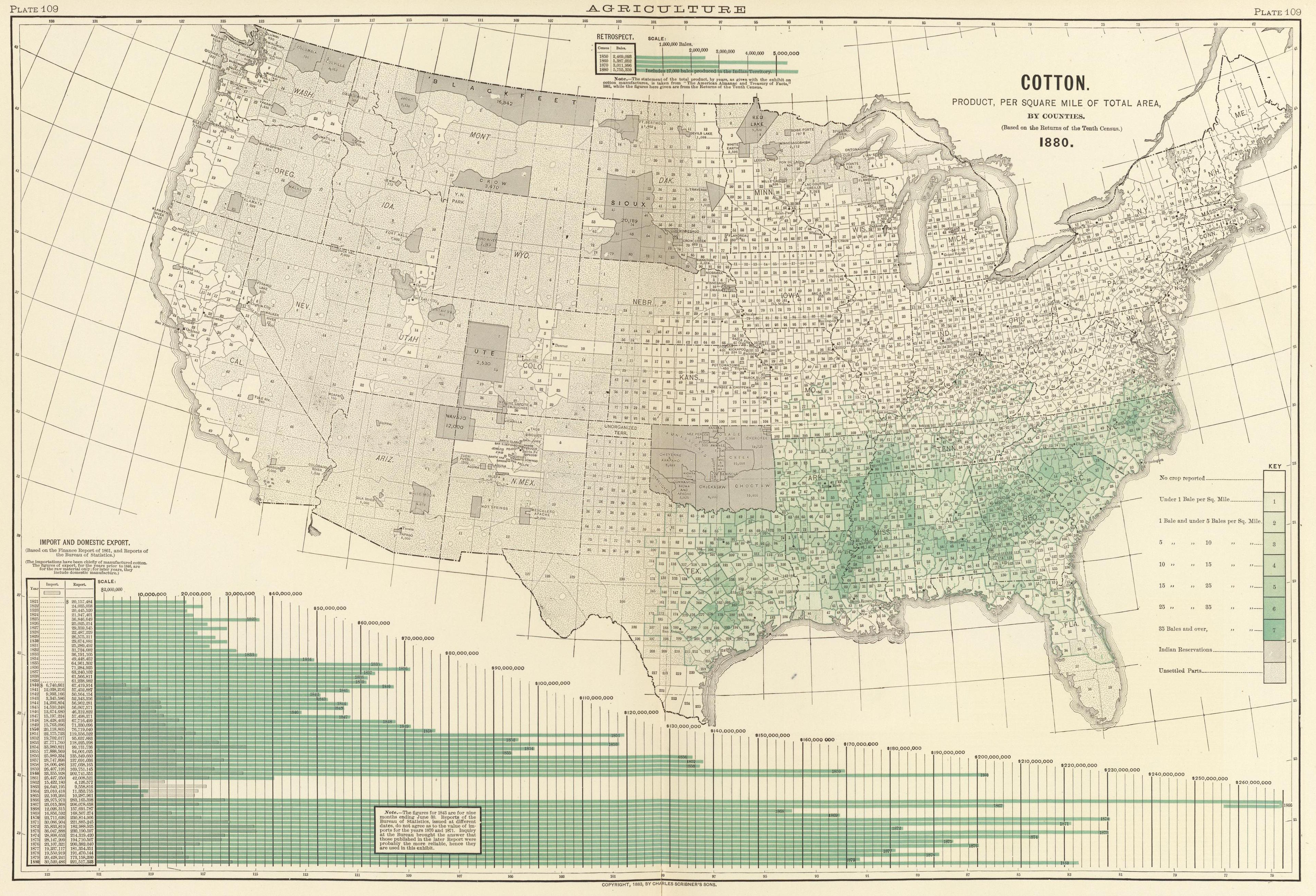 1880 Cotton Production