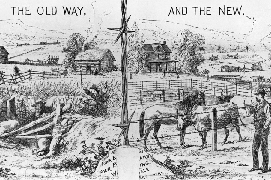 Barbed wire future