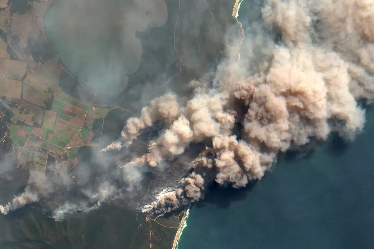 Forest fires