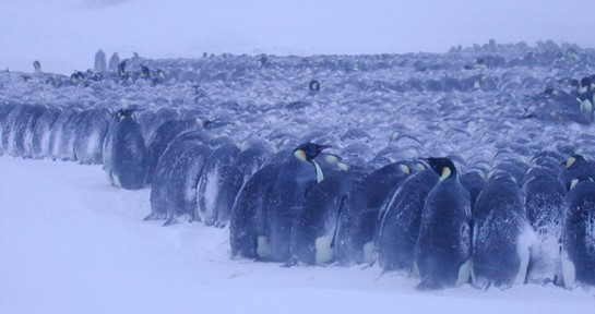 Huddle